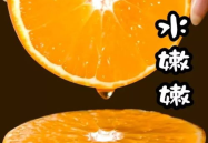 网红橘子,甜蜜生活背后的故事